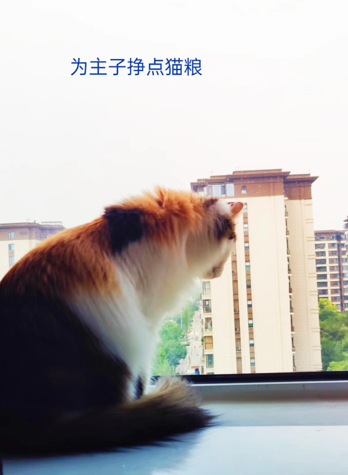 微信小程序開發(fā)