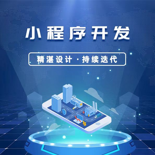 *****-app开发-网站建设-小程序开发-电商平台开发