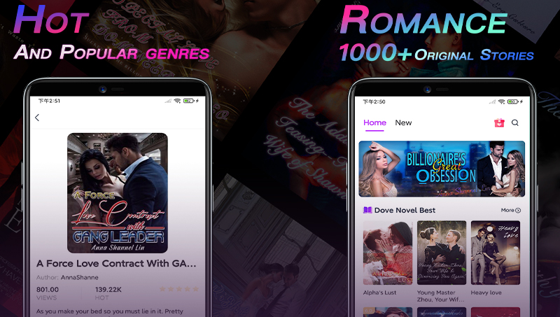 国内/出海小说产品源码提供双端产品及内容可定制开发