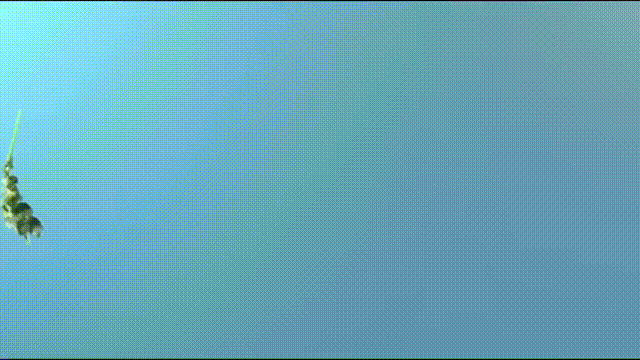 晟卓設(shè)計(jì)
