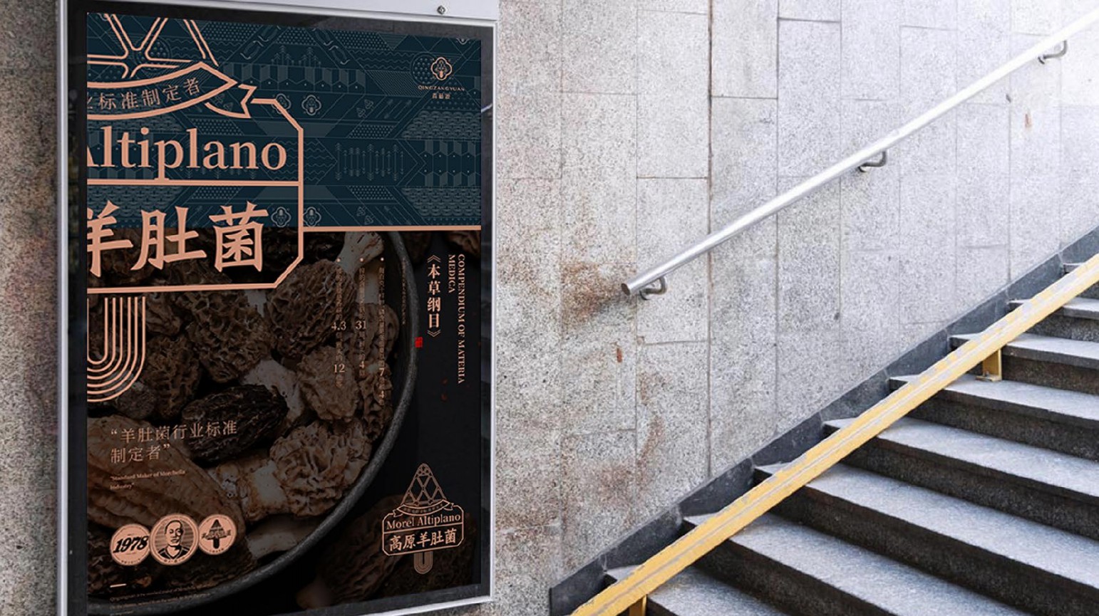 九色鹿品牌設(shè)計(jì)