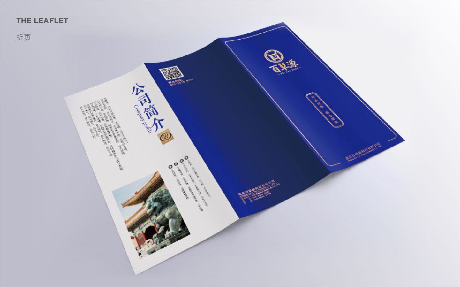 九色鹿品牌設(shè)計(jì)