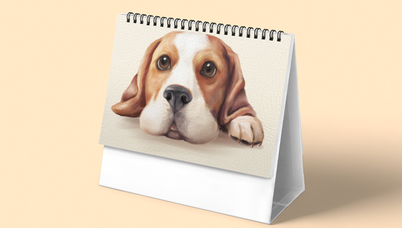 摇橹人策划设计有限公司