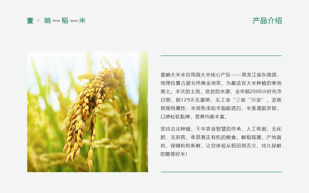 巨鑫品牌設(shè)計(jì)