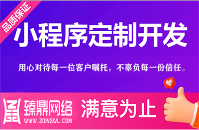 模版建网站建设定制后端开发制作门户商城公司搭建网页设计官网