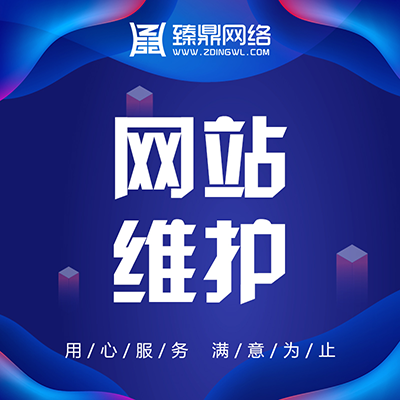 網(wǎng)站維護(hù)二次開發(fā)網(wǎng)站改版php修復(fù)維護(hù)小程序二開維護(hù)商城維