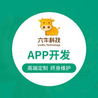 APP定制开发外包商城教育医疗社交java成品安卓ios应用