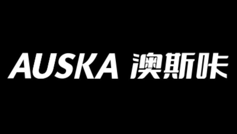 【logo設(shè)計】標準版logo設(shè)計