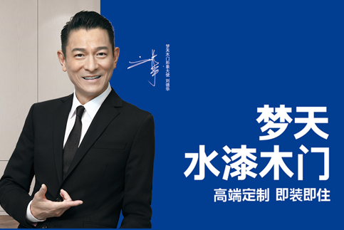 夢天木門網(wǎng)站建設(shè)案例