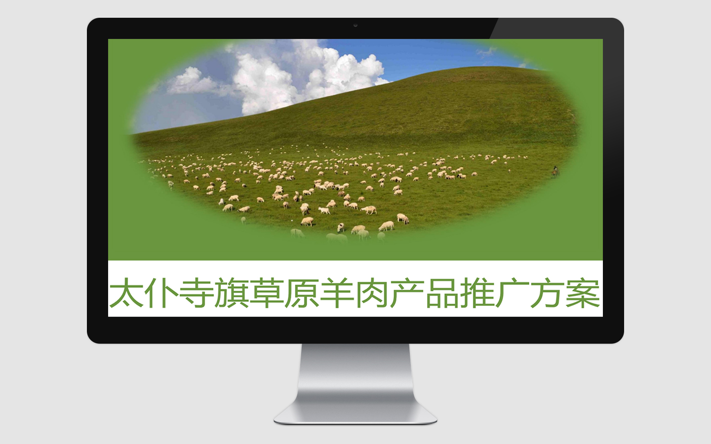 五星辰品牌策劃設計