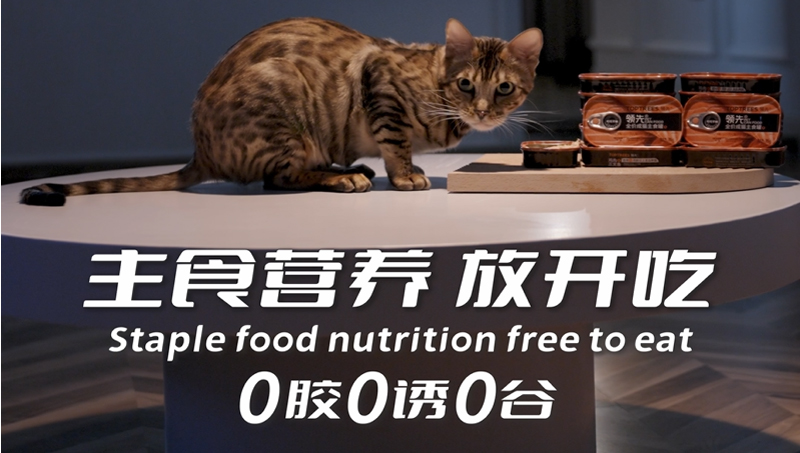 【产品<hl>宣传片</hl>】Toptrees宠物主食罐头产品视频拍摄制作