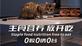 【产品宣传片】Toptrees宠物主食罐头产品视频拍摄制作