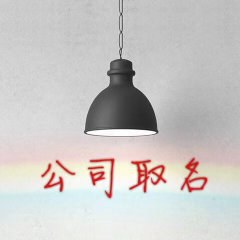 取名+logo+slogan