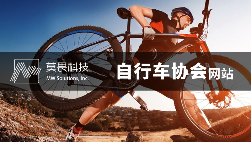 中国自行车协会网站--网站定制开发网站建设网站设计网站制作