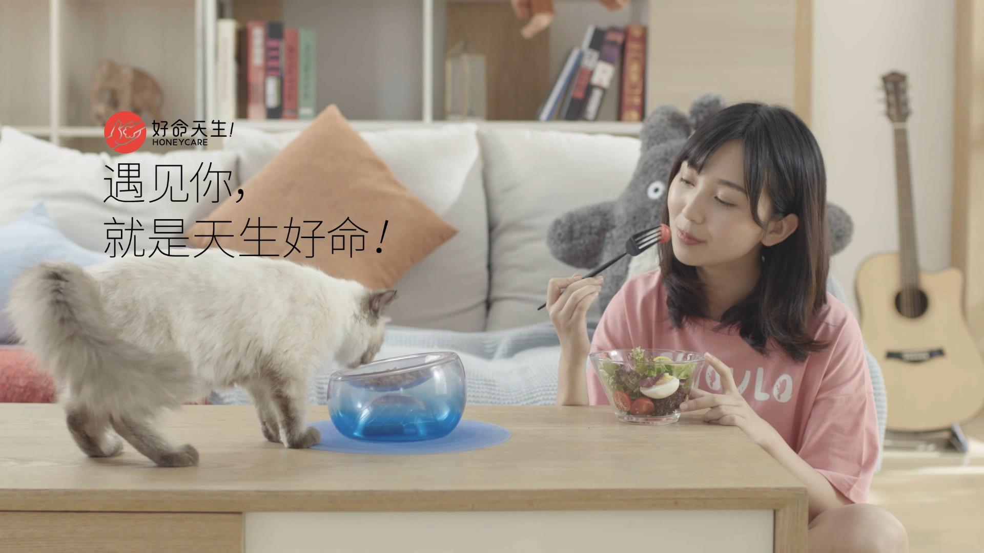 零羊电影工作室