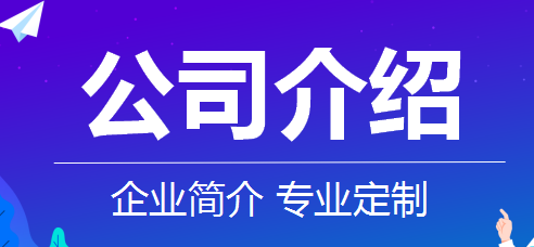 公司简介企业文化公司介绍<hl>PPT</hl>公司理念品牌故事专业定制