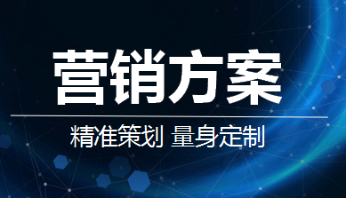 营销方案<hl>策划</hl>新店开业新品上市网络营销社群营销推广计划