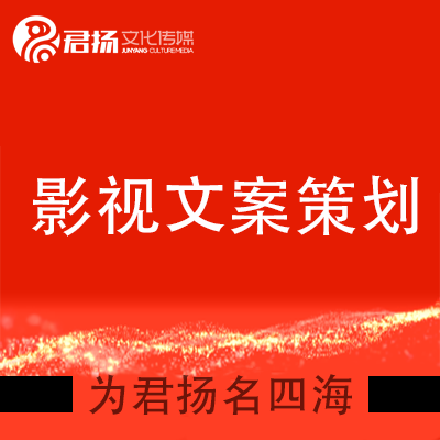 影視文案策劃劇集系列動畫劇情劇本解說詞短視頻文案