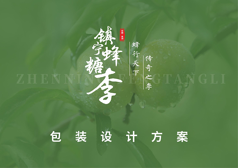 产品创意包装插画包装设计方案