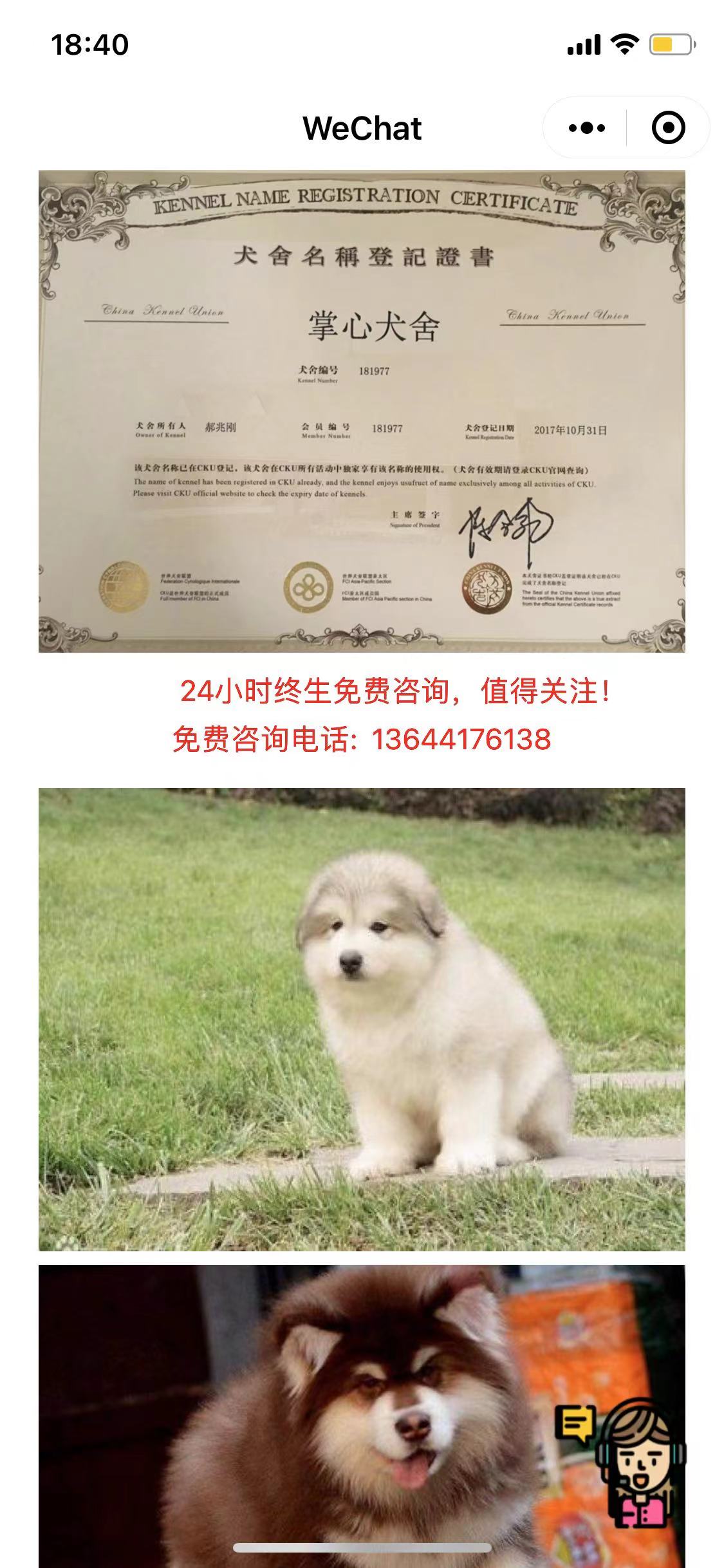寵物銷售咨詢小程序