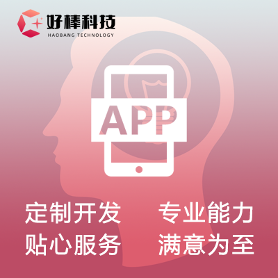 中型APP定制開發(fā)
