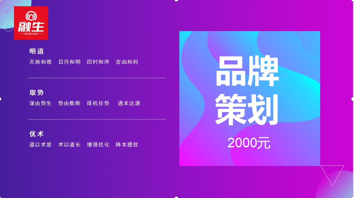 高端商业计划书**策划PPT招商项目路演可行性研究报告代撰写