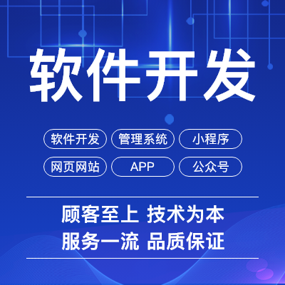 企业网站建设网站开发建站制作/php定制开发/软件开发/