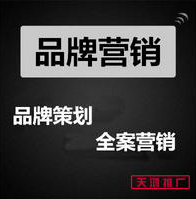 營銷傳播全網(wǎng)渠道策劃品牌高端定制年度服務(wù)品牌傳播新品牌助力