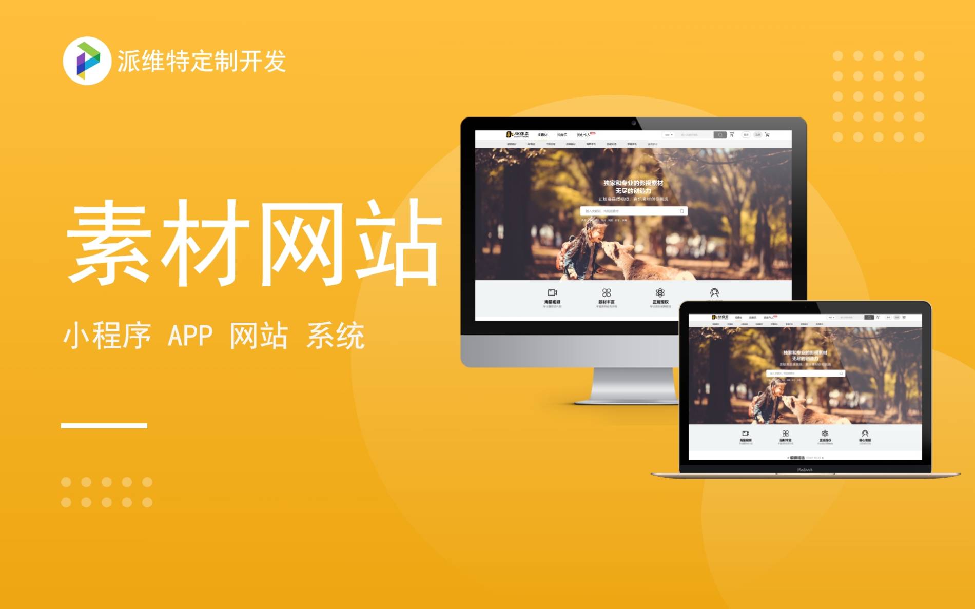 派維特定制開發(fā)