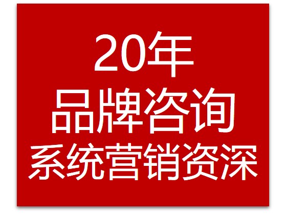 品牌及产品规划全案；文案写作；战略规划；渠道规划；营销规划等