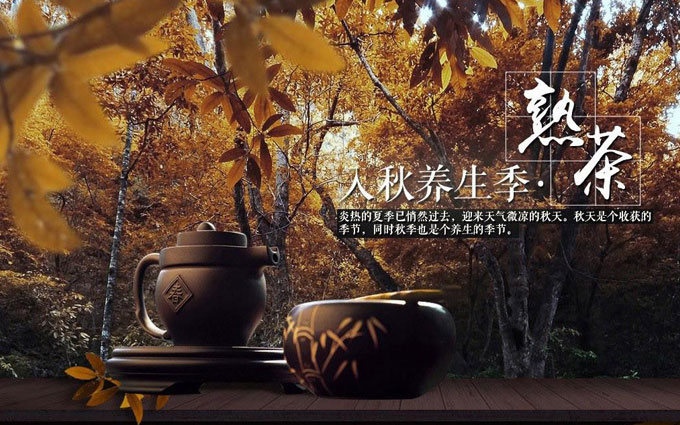 光榮網(wǎng)絡光榮文創(chuàng)