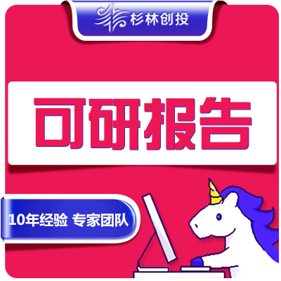 可行性研究報告編制分析可研政府立項銀行**資金申請