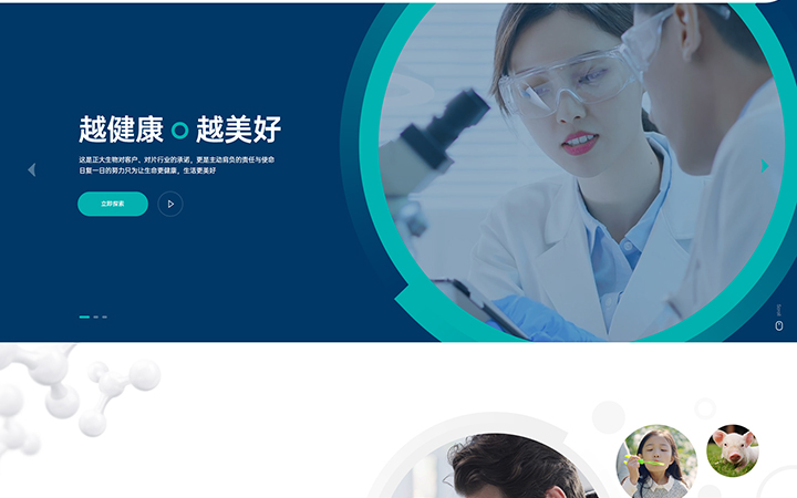 科威鲸网络-17年沉淀