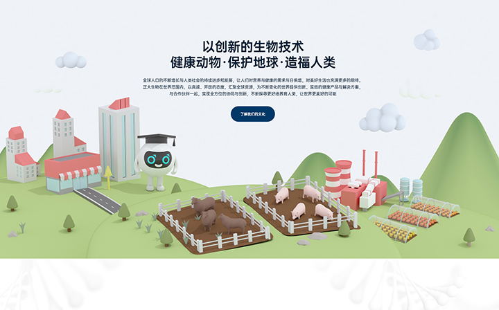 科威鲸网络-17年沉淀