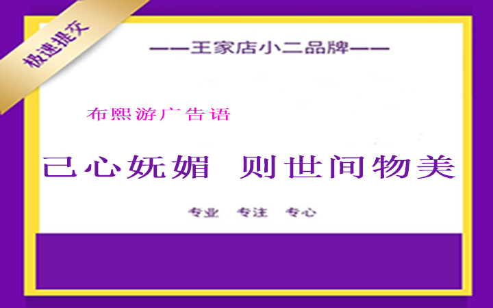 王家店小二&取名logo包装vi画册