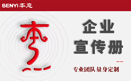 市场运营模式企业集团介绍<hl>品牌</hl>宣传手册招商策划方案