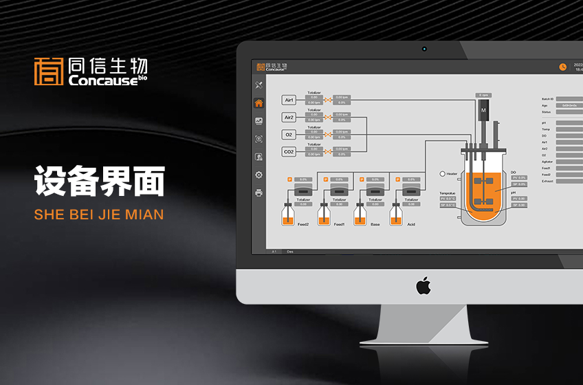 云端设计-11年品质老店