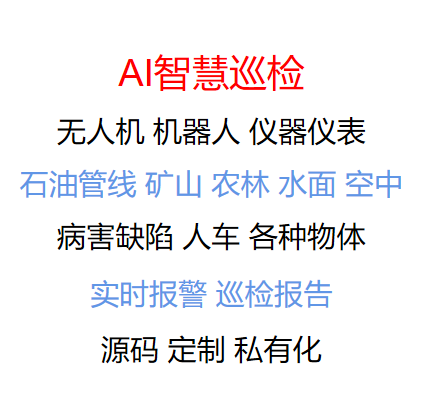 智慧巡检无人机-病害缺陷检测识别-计算机视觉图像AI算法