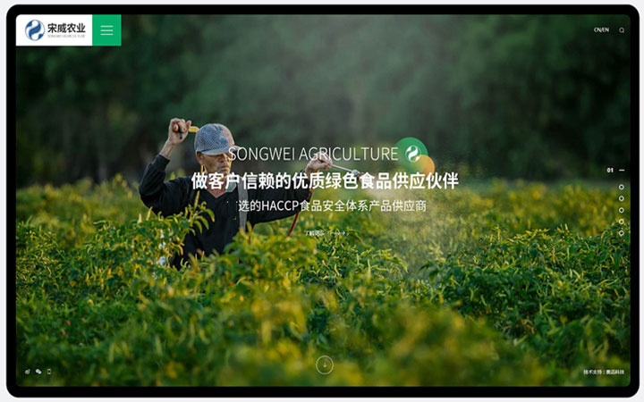 光榮網(wǎng)絡(luò)光榮文創(chuàng)