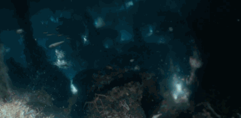動(dòng)視灣流官方旗艦店