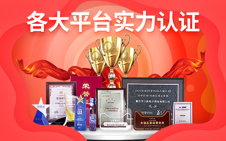 羊小侠电商品牌店