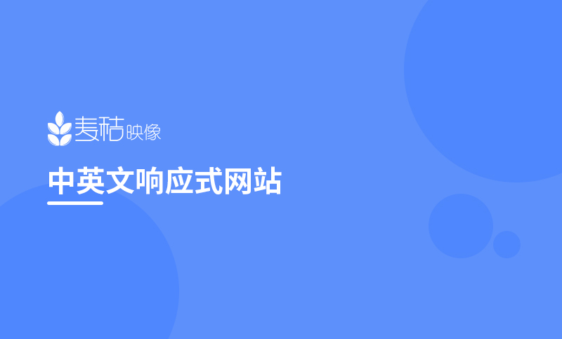 中英文自适应商城展示网站定制开发