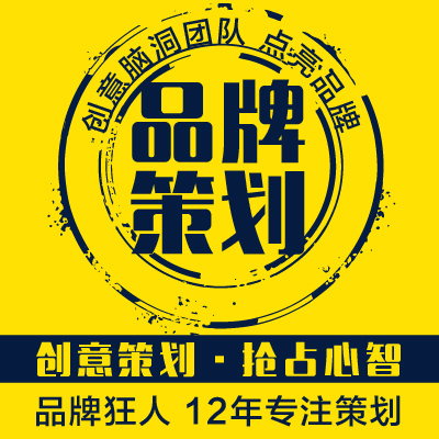 公司企業(yè)品牌理念策劃MIBI愿景優(yōu)勢(shì)企劃策略文案