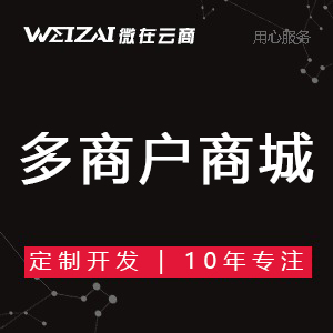 商城建设 商城购物电商多商户多商家 企业公司网站开发定制
