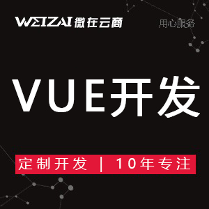 公司企业网站建设设计制作开发<hl>商城</hl> Vue网站 Vue<hl>手机</hl>