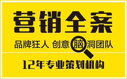 公司企業(yè)產(chǎn)品牌年度營銷全案策劃軟文章企劃文案策略