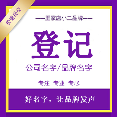 名字注册变更续展转让起名取名公司品牌<hl>设计</hl>登记