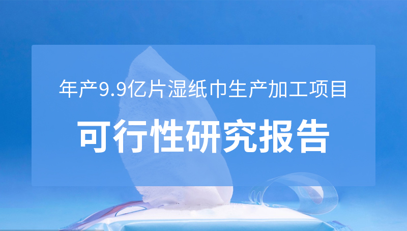 年产9.9亿片湿纸巾生产加工项目可行性研究报告