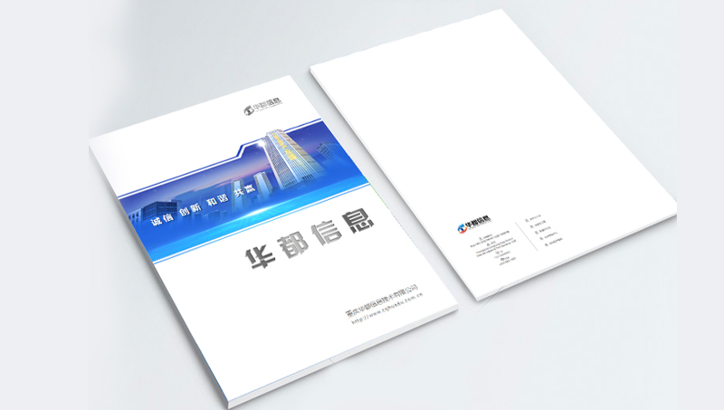 重慶某信息技術(shù)公司企業(yè)介紹藍(lán)色畫(huà)冊(cè)設(shè)計(jì)
