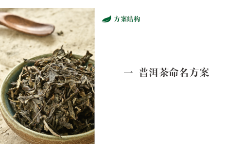 普洱茶<hl>起名</hl>案例